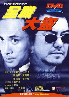 全职大盗 1998 电影 海报