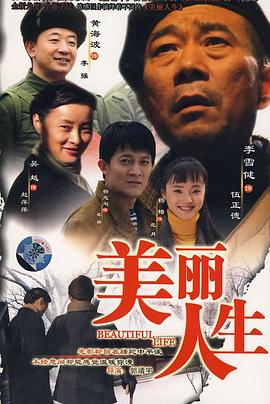 美丽人生 2008 电视剧 海报