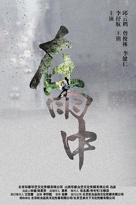 在雨中 2016 电影 海报