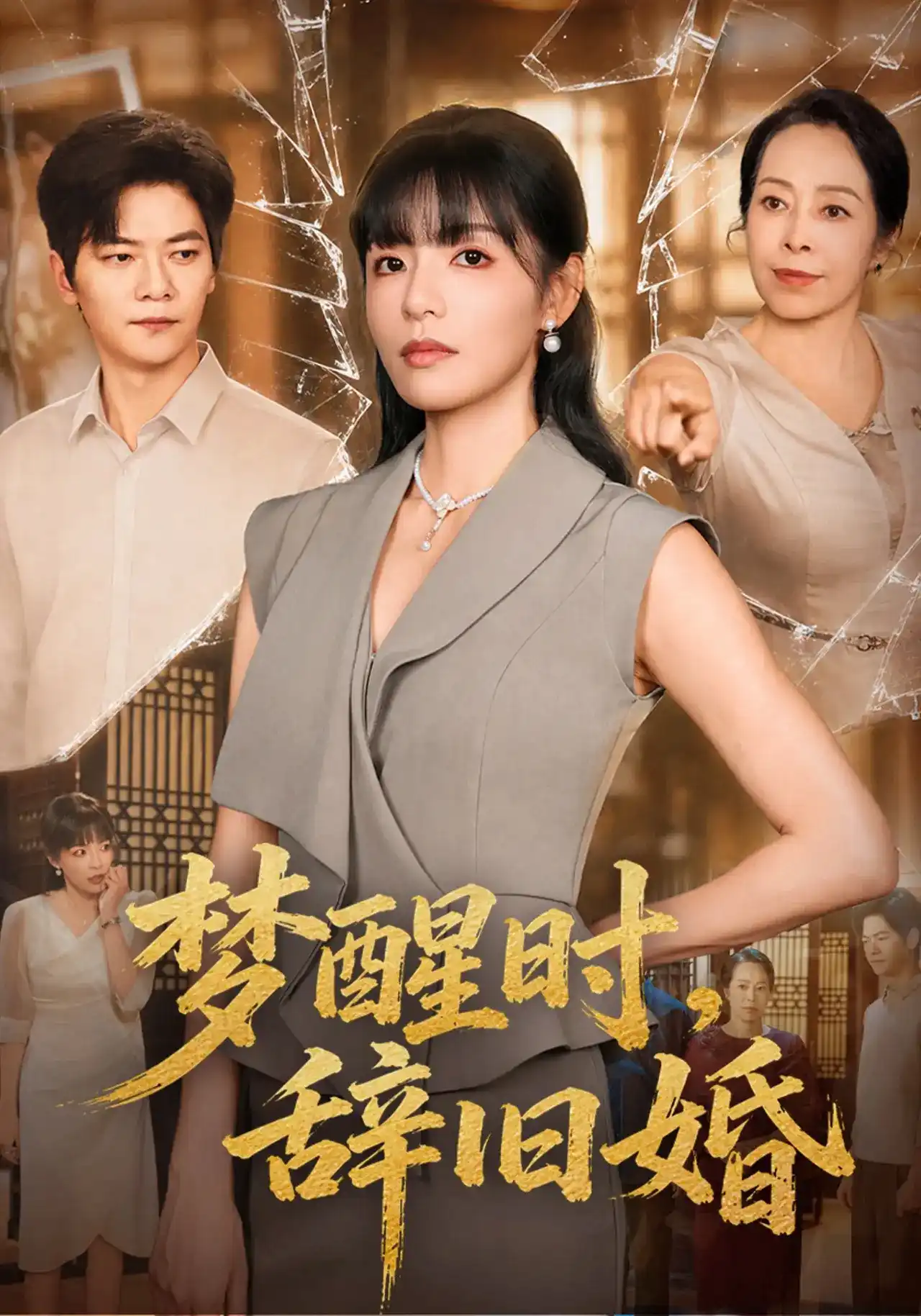 梦醒时,辞旧婚 2026 短剧 海报