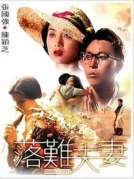 落难夫妻 1994 电影 海报