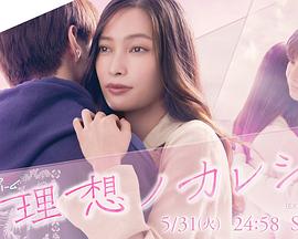 理想男友 2022 电视剧 海报