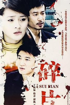 婚姻相对论 2008 电视剧 海报