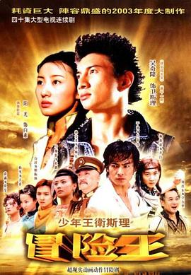 少年王卫斯理 2003 电视剧 海报