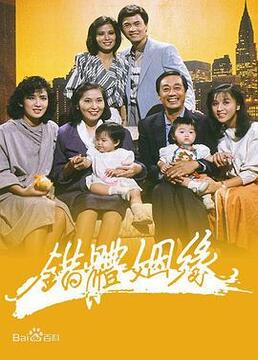 错体姻缘 2004 电影 海报