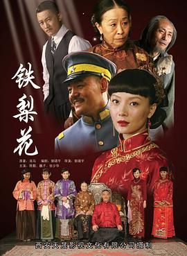 铁梨花 2010 电视剧 海报