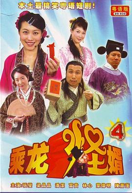 乘龙怪婿第四季 2009 电视剧 海报