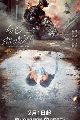 白色橄榄树 2025 电视剧 海报