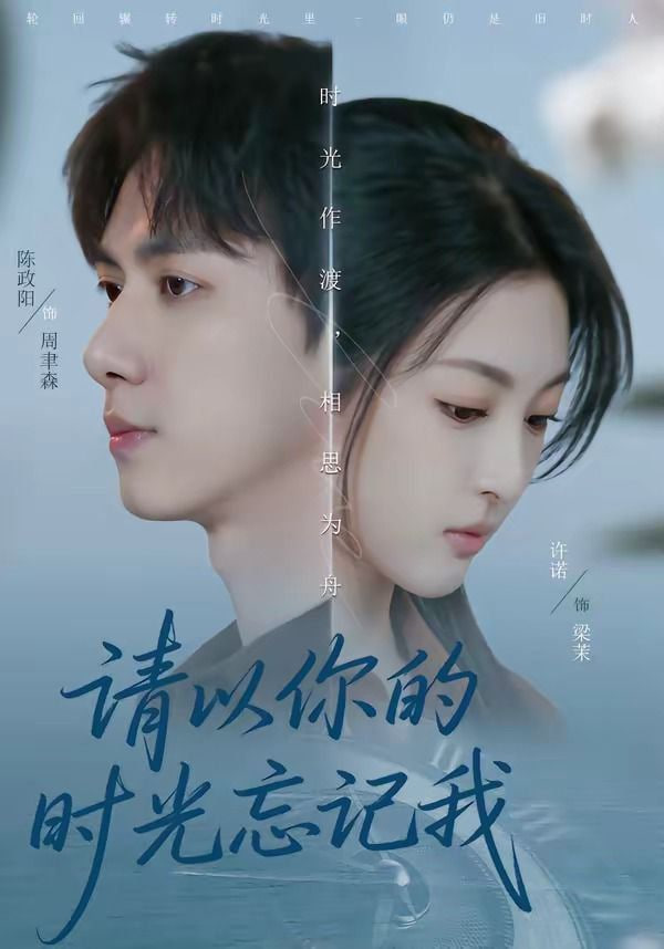 请以你的时光忘记我 2026 短剧 海报