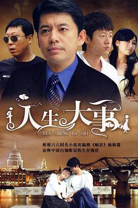 人生大事 2009 电视剧 海报