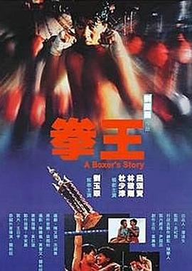 拳王1991国语 1991 电影 海报