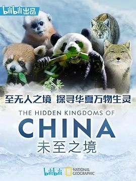 未至之境 普通话版 2019 纪录片 海报
