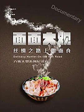 面面大观 2017 纪录片 海报