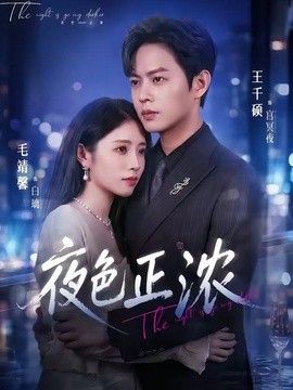 夜色正浓(2026) 2026 短剧 海报