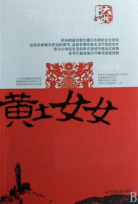 黄土女女 2007 电视剧 海报