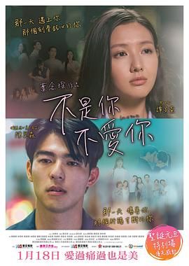 不是你不爱你 2024 电影 海报