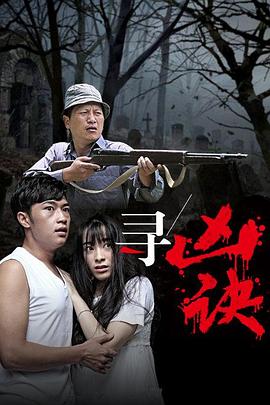 寻凶诀 2015 电影 海报