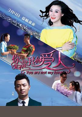 你是不是我的爱人 2016 电影 海报