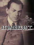 红色国际特工 2015 纪录片 海报