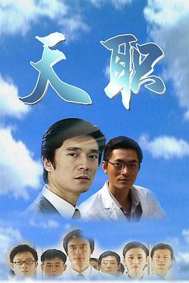 天职 2009 电视剧 海报