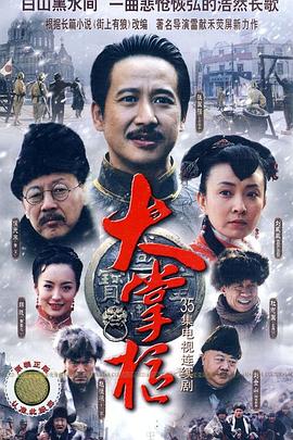 大掌柜 2010 电视剧 海报