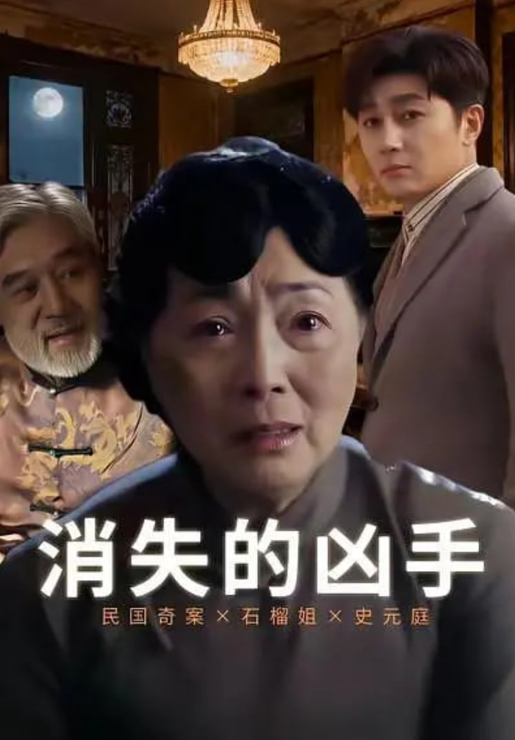 消失的凶手 2026 电视剧 海报