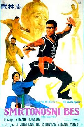 武林志 1984 电影 海报