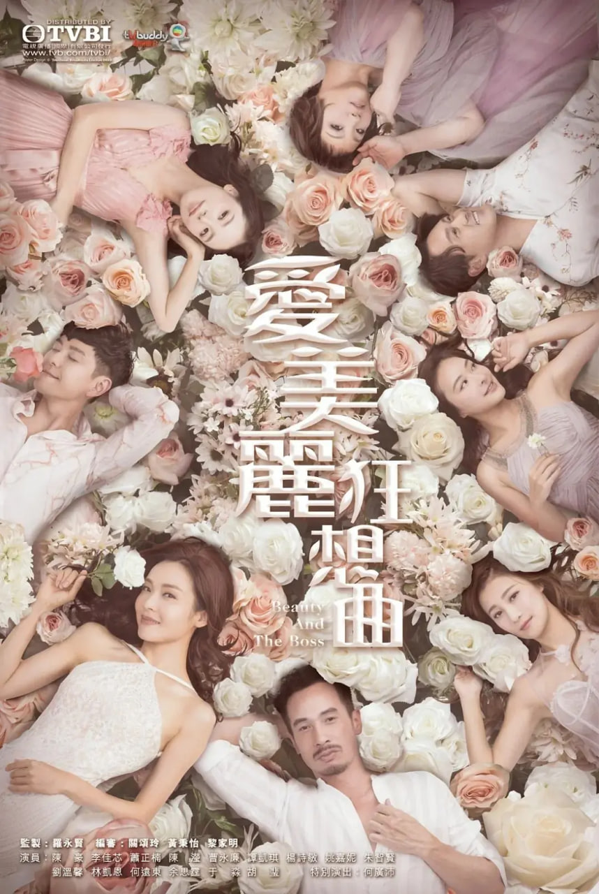 爱美丽狂想曲 2020 电视剧 海报